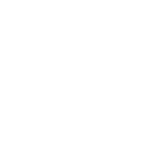 light logo